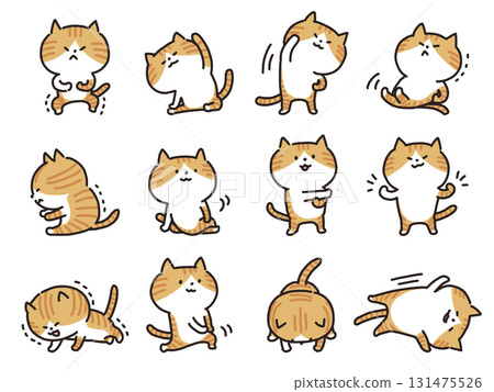 Set of cats stretching and doing muscle training 131475526