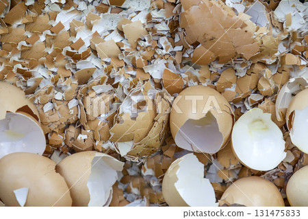 Top view of many big and small pieces of eggshells. 131475833