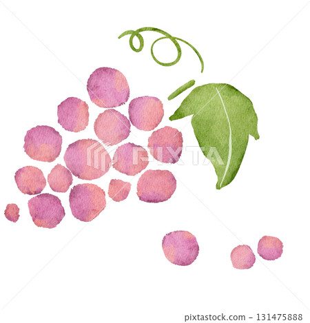 葡萄的水彩插圖 131475888