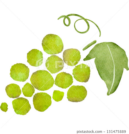 葡萄的水彩插圖 131475889
