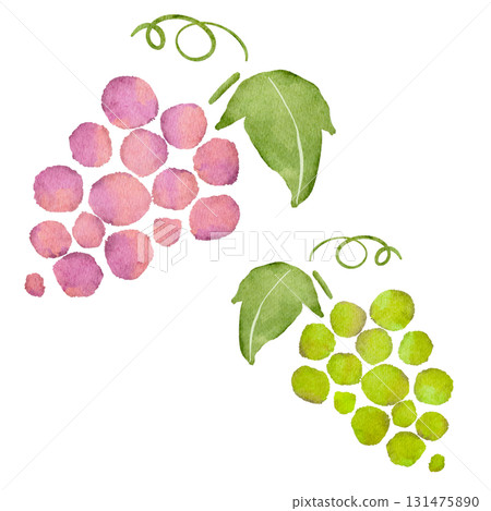 葡萄的水彩插圖 131475890