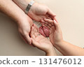 A father and mother hold the feet of a newborn child in a white blanket on a white background.. The feet of a newborn in the hands of parents. Photo of foot, heels and toes.The palms of the parents. 131476012