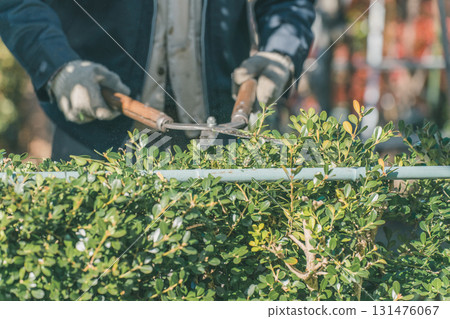 pruning, gardener, gents 131476067