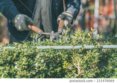 pruning, gardener, landscaper 131476069
