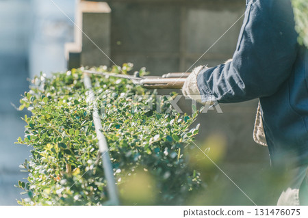 pruning, gardener, gents 131476075