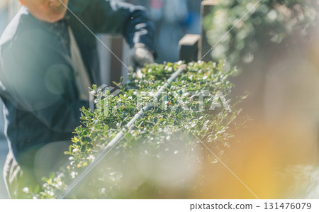 修剪 園丁 花園 131476079