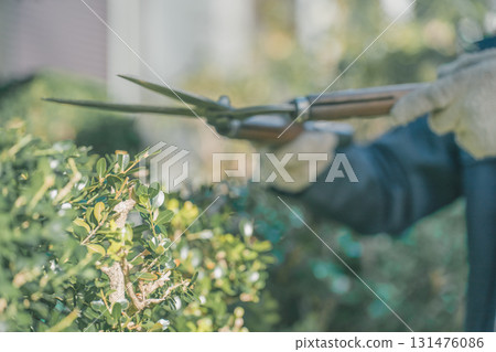 pruning, master gardener, gents 131476086