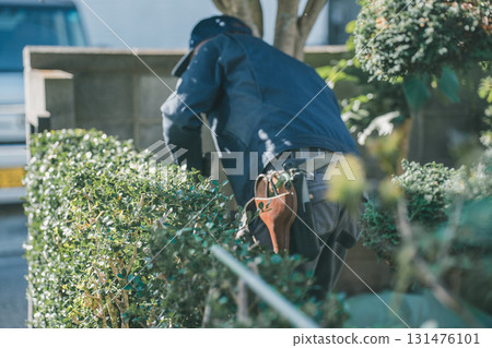 pruning, gardener, landscaper 131476101