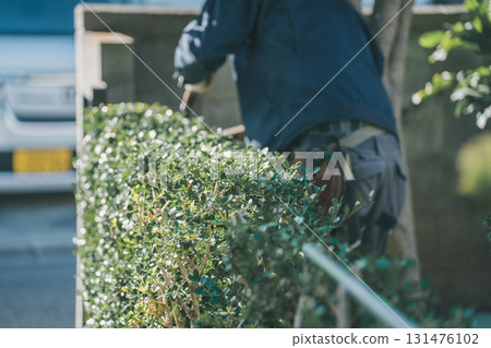 pruning, gardener, landscaper 131476102