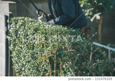 pruning, gardener, landscaper 131476105