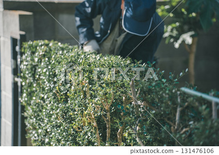pruning, gardener, landscaper 131476106