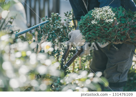 pruning, gardener, landscaper 131476109