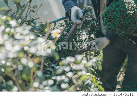 pruning, gardener, landscaper 131476111
