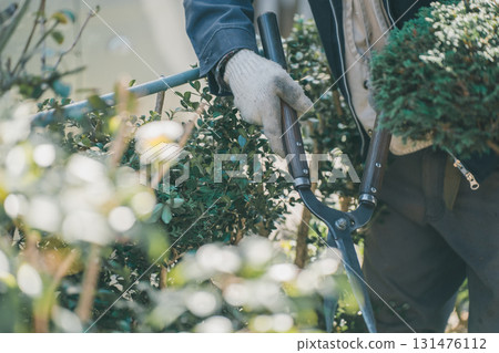 修剪 園丁 男人 131476112