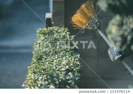 修剪 園丁 男人 131476114