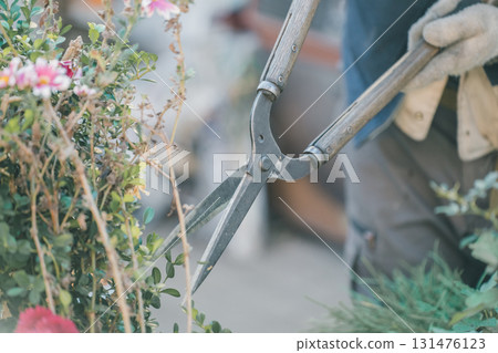 pruning, gardener, landscaper 131476123