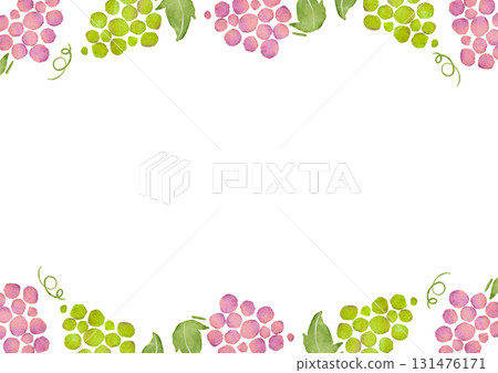 葡萄的水彩插圖 131476171