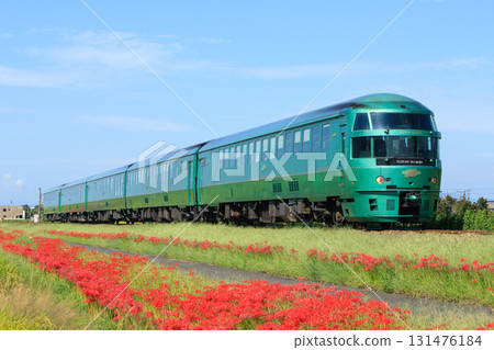 特快列車「由布院之森」(JR九州)沿著九大本線行駛,沿途有盛開的紅花。 特快列車「由布院之森」(JR九州)沿著九大本線行駛,沿途有盛開的紅花。 131476184