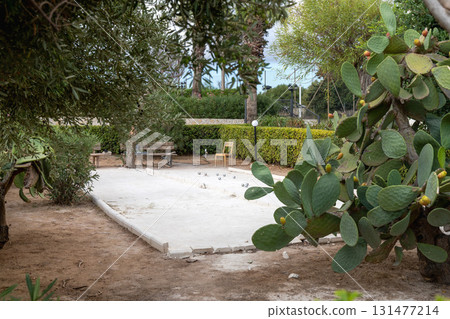Traditional french petanque game field with boule Traditional french petanque game field with boule 131477214