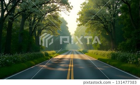 Driving along a quiet road, a car moves past rows of vibrant, blossoming trees. The bright green leaves contrast beautifully with the colorful flowers. The crisp morning air and clear blue sky make Driving along a quiet road, a car moves past rows of vibrant, blossoming trees. The bright green leaves contrast beautifully with the colorful flowers. The crisp morning air and clear blue sky make 131477383