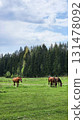 Thoroughbred red horses grazing in field next to forest. Beautiful rural landscape. Vertical photo. High quality photo 131478092