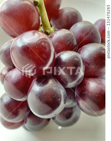 圖片素材：閃耀美麗秋日氣息，Pione 131478265