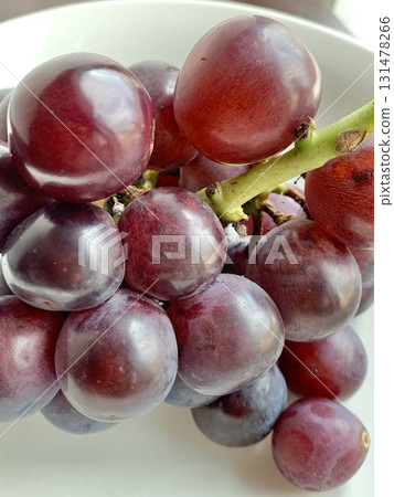 Photo material: Beautifully shining autumn flavor, Pione Photo material: Beautifully shining autumn flavor, Pione 131478266