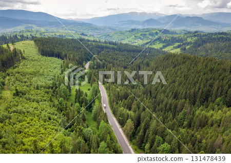 Top down aerial view of winding forest road in green mountain spruce woods. Top down aerial view of winding forest road in green mountain spruce woods. 131478439