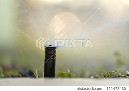 Sprinkler irrigating grass lawn with water in summer garden. Watering green vegetation during dry season for maintaining it fresh Sprinkler irrigating grass lawn with water in summer garden. Watering green vegetation during dry season for maintaining it fresh 131478480