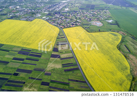 Rural landscape on spring or summer day. Aerial view of green, plowed and blooming fields, house roofs and a road on sunny dawn. Drone photography. 131478516