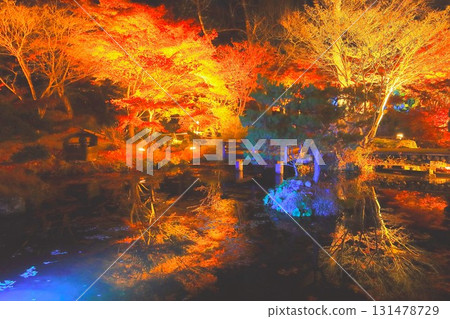 Illuminated autumn leaves reflected on the water surface 131478729
