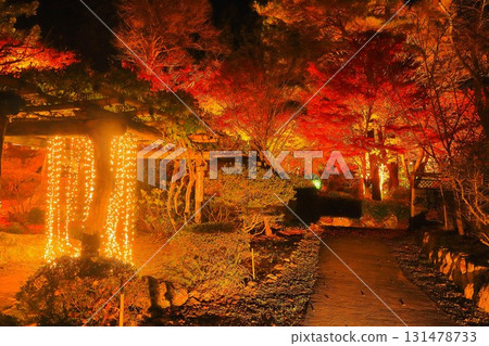 閃耀夢幻的秋葉彩燈 閃耀夢幻的秋葉彩燈 131478733