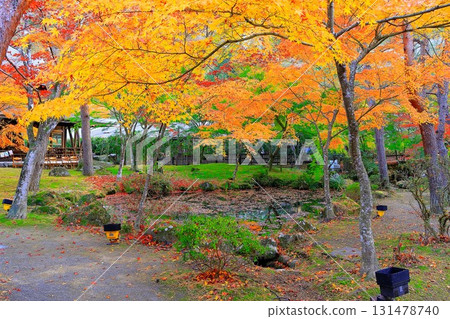 Vibrant autumn leaves decorating the waterside Vibrant autumn leaves decorating the waterside 131478740