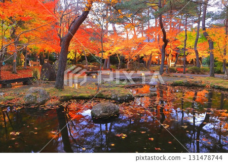 夢幻般的秋葉彩燈 131478744