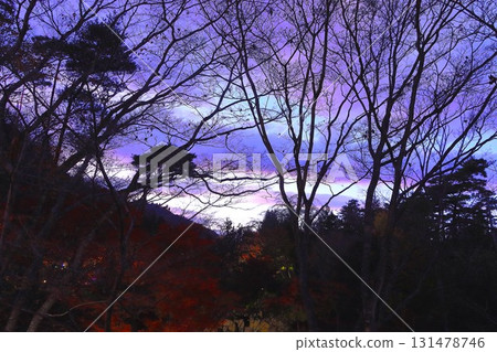 Sunset sky and silhouette of trees Sunset sky and silhouette of trees 131478746