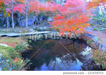 Vibrant autumn foliage by the water Vibrant autumn foliage by the water 131478753