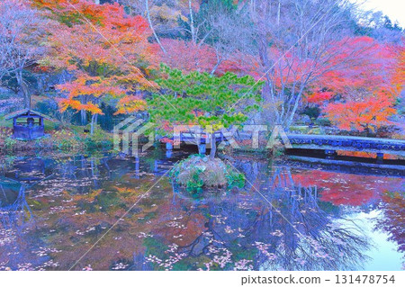 Brilliant foliage reflected on the surface of the water 131478754