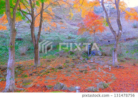 泉水和一片鮮豔的秋葉 131478756