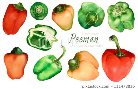 Colorful watercolor illustration of bell peppers 131478830