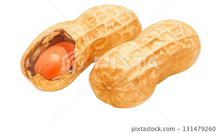 Watercolor illustration of shelled peanuts on a transparent background (png) 131479260