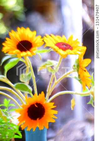 瀑布和向日葵 131479407