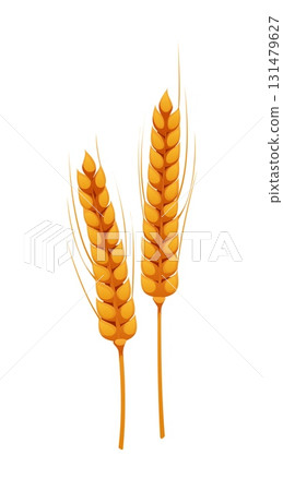 Happy Thanksgiving Day autumn harvest and food icon of wheat stalks, cartoon vector. Thanksgiving Day holiday symbol of autumn harvest of wheat ears or rye spikelets for bread food of Thanksgiving 131479627