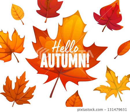 Hello autumn fall leaves banner for autumn holiday or Thanksgiving Day, vector poster. Hello autumn greeting with maple leaf or fall foliage pattern background for harvest season or Thanksgiving 131479631