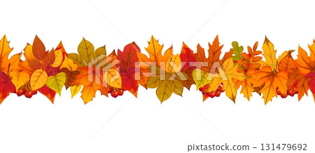 Autumn fall leaves border for seasonal holiday or Thanksgiving Day greetings, vector poster. Autumn leaves border or frame with with maple, oak, and ash tree or elm foliage and rowanberry harvest Autumn fall leaves border for seasonal holiday or Thanksgiving Day greetings, vector poster. Autumn leaves border or frame with with maple, oak, and ash tree or elm foliage and rowanberry harvest 131479692