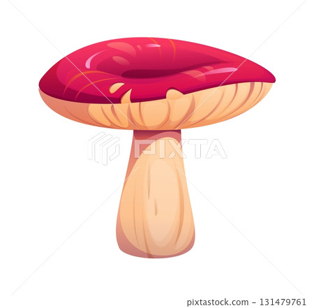 Cartoon autumn fall season russule mushroom with a wide, flat red cap. Isolated vector ripe and raw forest fungus. Wild plant, natural ingredient, mycology species, forest vegetation 131479761