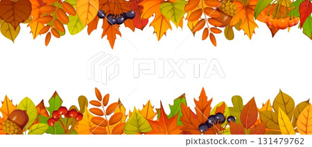 Autumn or fall season leaves border and frame background for seasonal holiday, vector banner. Autumn leaves foliage frame of maple and birch leaf with oak acorns and rowan berries for autumn greetings 131479762