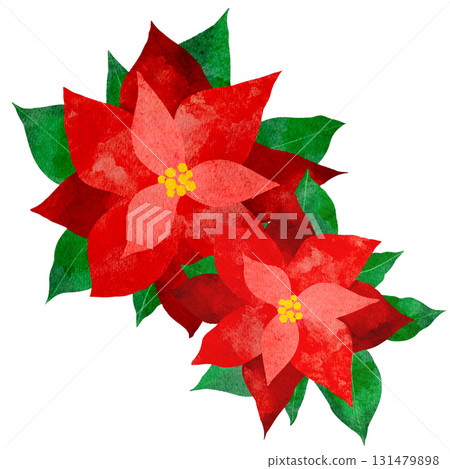 Watercolor illustration of a poinsettia 131479898