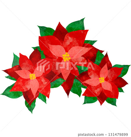 Watercolor illustration of a poinsettia Watercolor illustration of a poinsettia 131479899