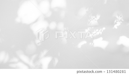 Shadow Background Abstract Leave Overlay Wall Floor Light Effect White Plant Sunlight Backdrop Mockup Minimal Spring Summer Nature Grey blur Photography Scene Template Poster Card Frame Product. 131480281