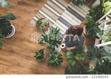 A young woman enjoys caring for flowers. Watering indoor plants and admiring them. A young woman enjoys caring for flowers. Watering indoor plants and admiring them. 131480343